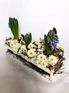 BOX 1